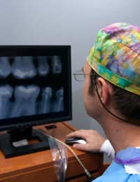 Orthodontics Braces Crowding Dental